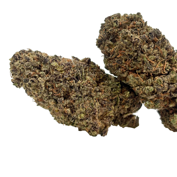 Harley Queen - Hydroponique