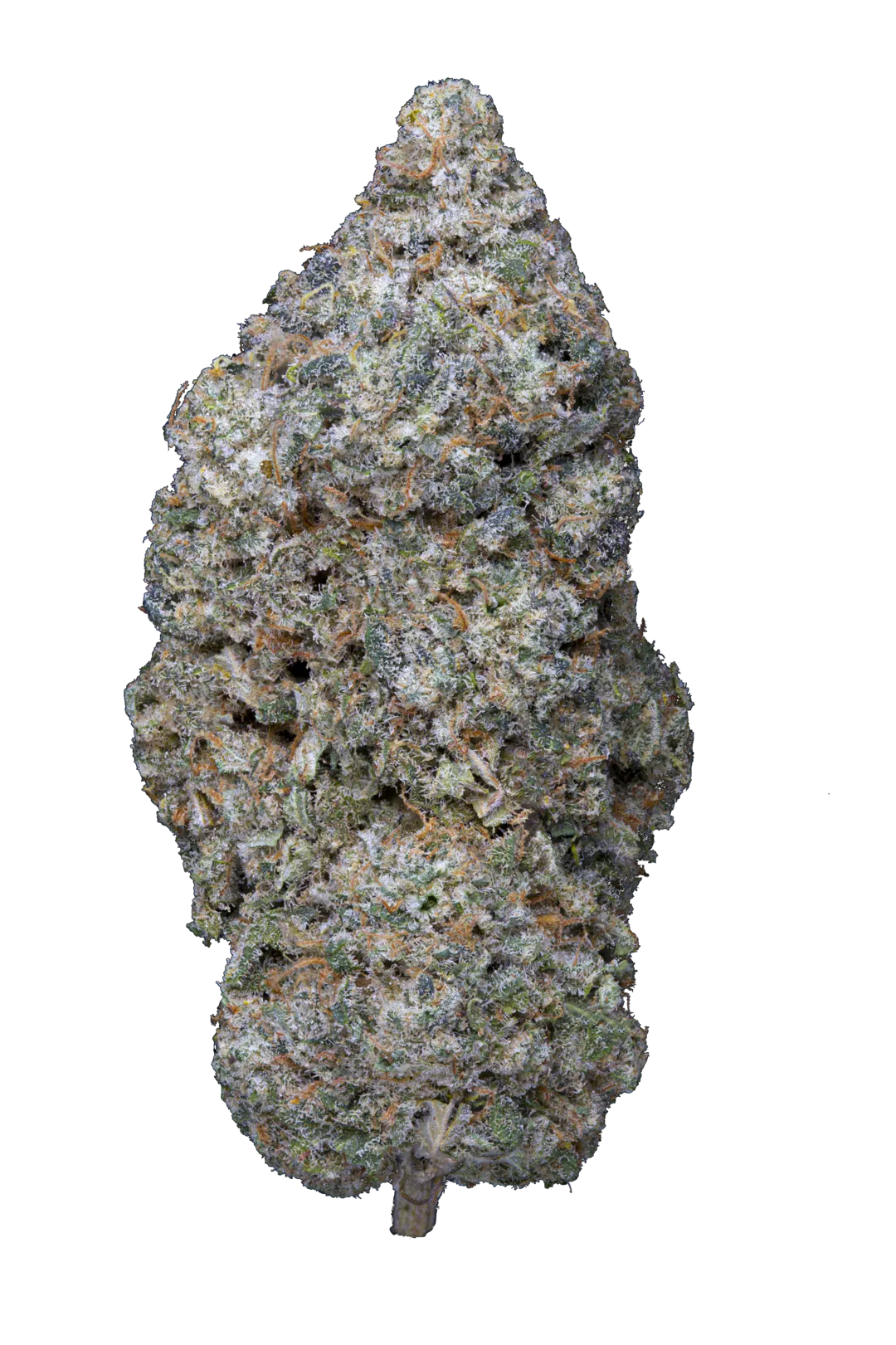 Legendary Skunk CBD 🥇