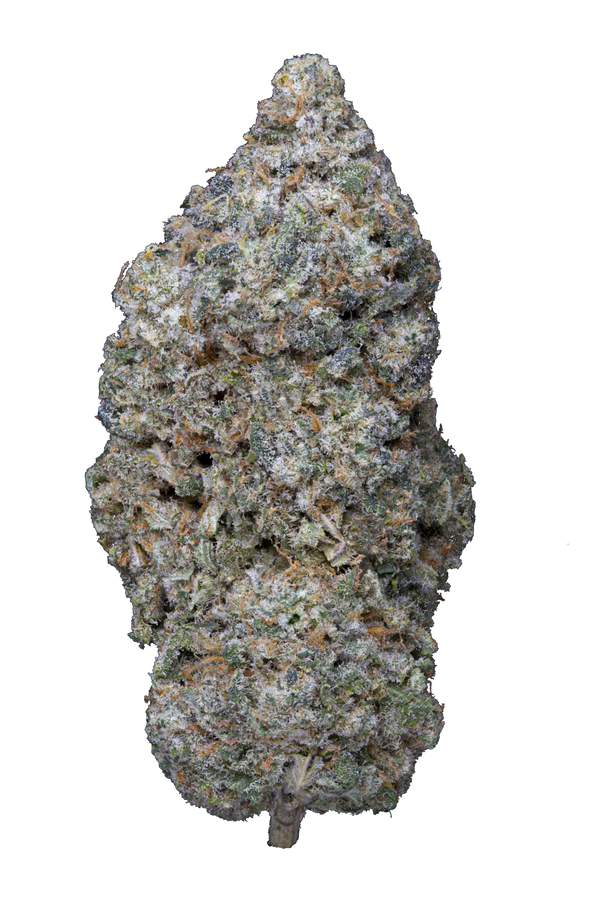 Legendary Skunk CBD 🥇