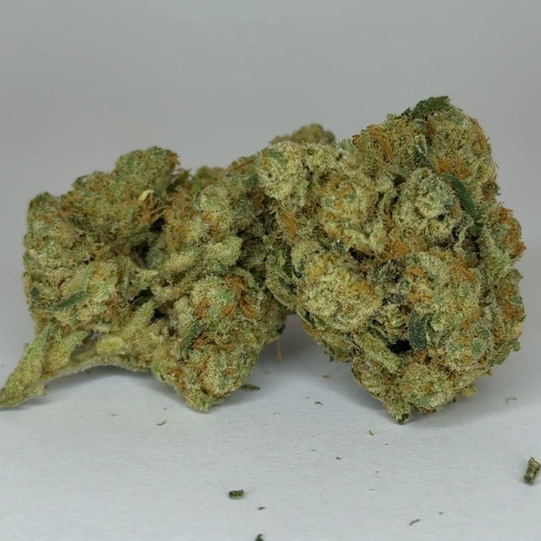 Small Bud Tangerine - TH4