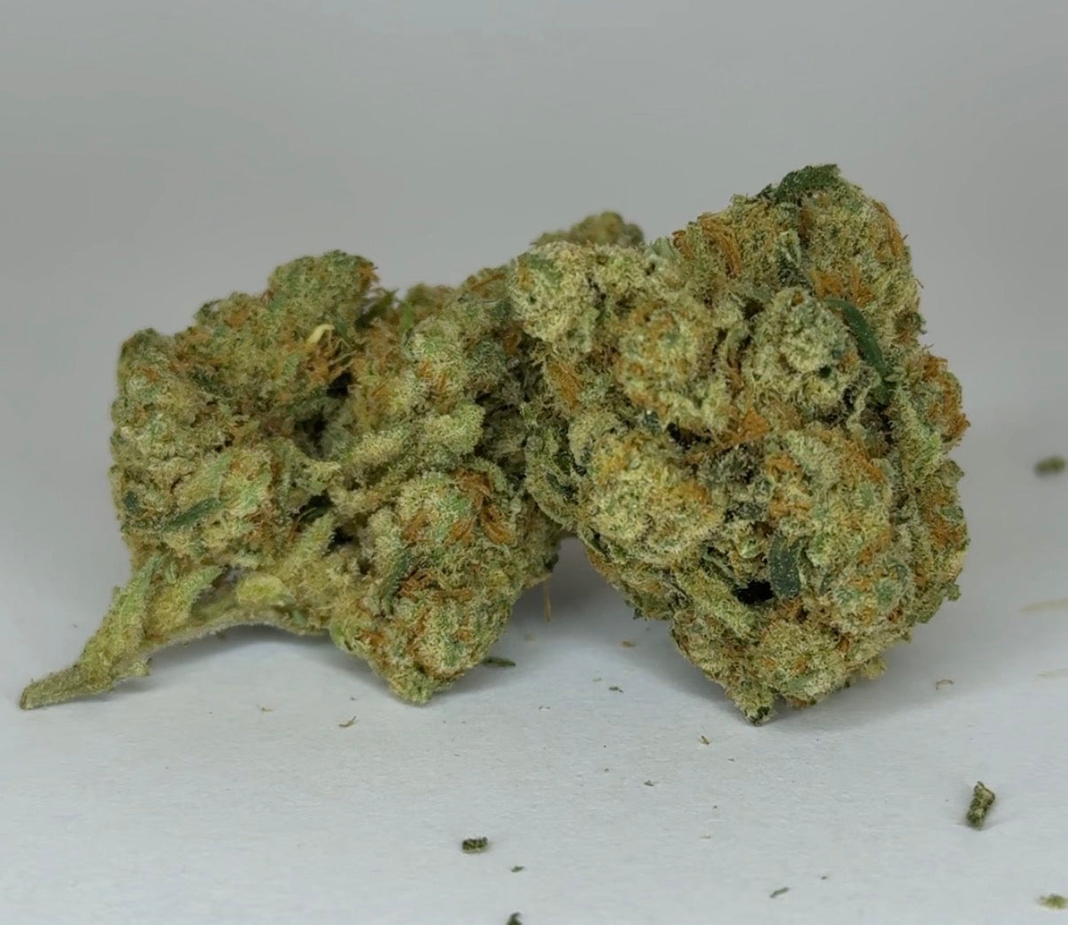 Small Bud Tangerine - TH4