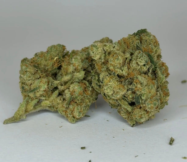 Small Bud Tangerine - TH4